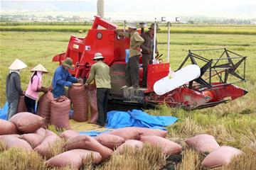 Nguy cơ thiếu nguồn cung đẩy thị trường nông sản khởi sắc